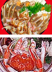 �J�j����